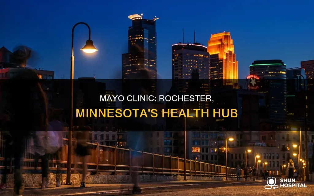 where is the mayo clinic in minnesota