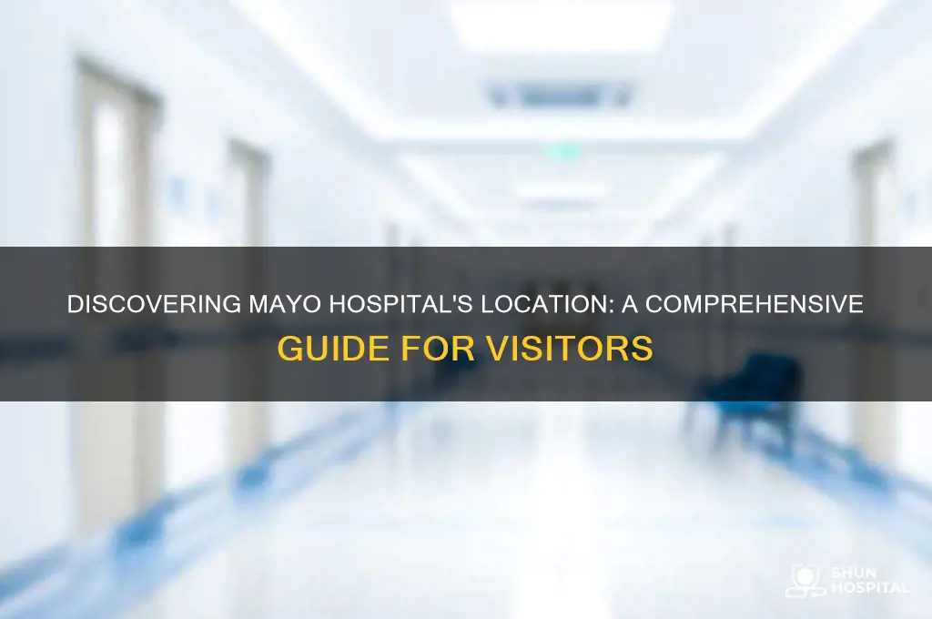 where is the mayo hospital