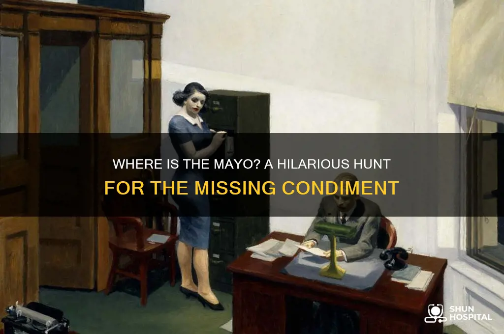 where is the mayo