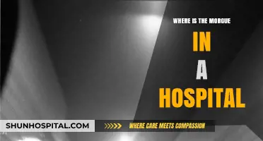 Hospital Morgue Location: A Guide