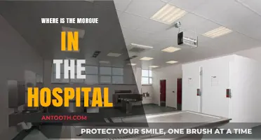 Locating the Hospital Morgue: A Guide to Its Placement and Purpose