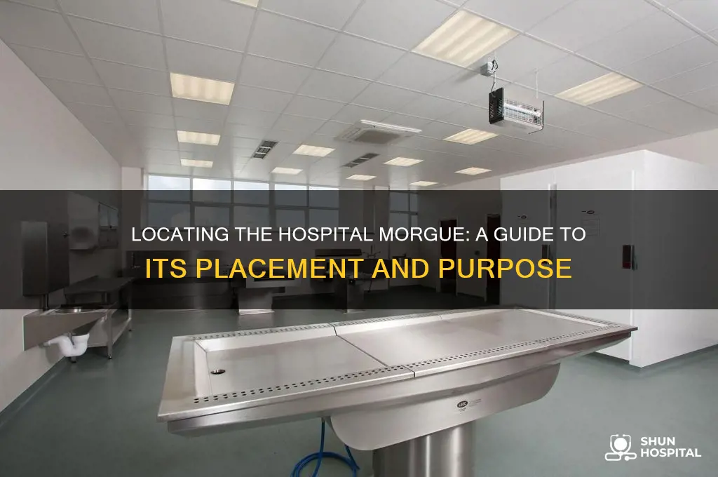 where is the morgue in the hospital