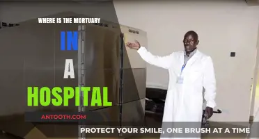 Locating the Hospital Mortuary: A Guide for Visitors and Families