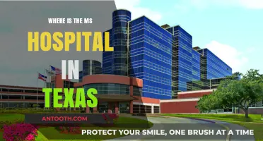 Finding MS Care: Locating the Best Hospital in Texas