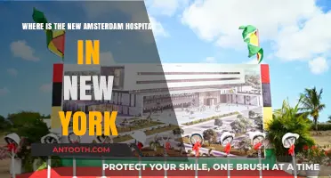 Discovering New Amsterdam Hospital's New York Location: A Comprehensive Guide