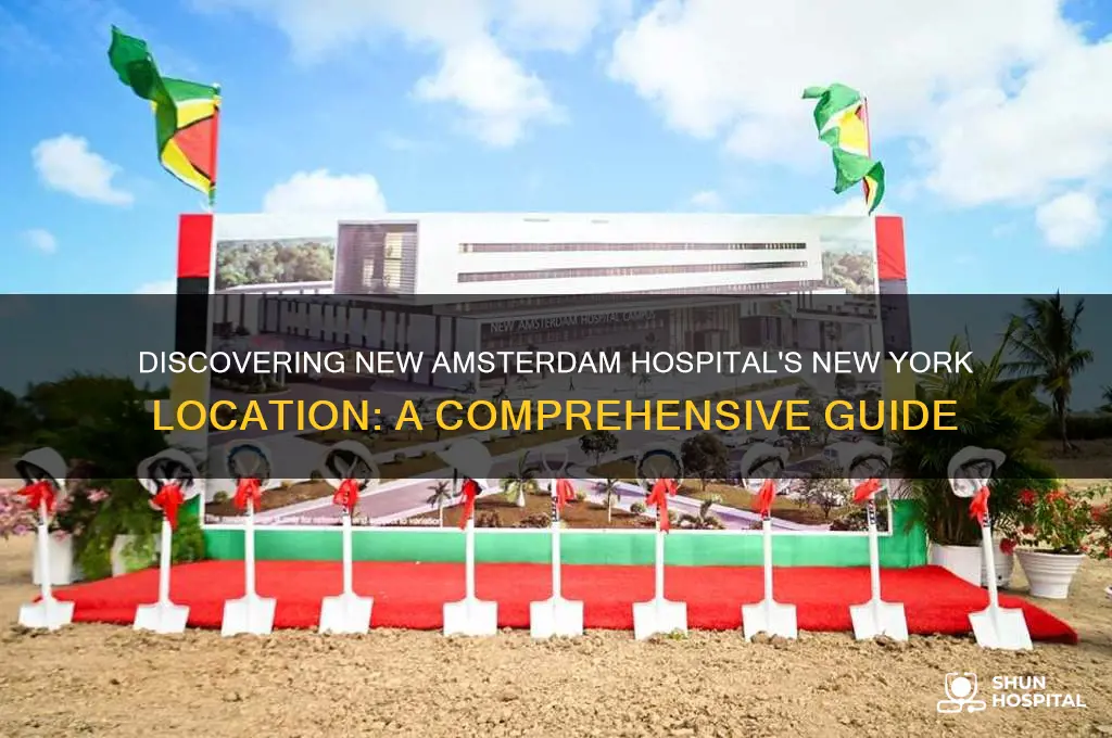 where is the new amsterdam hospital in new york
