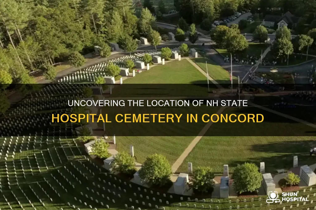 where is the nh state hospital cemetery concord nh