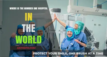 Discovering the World's Top Hospital: Location and Excellence Revealed