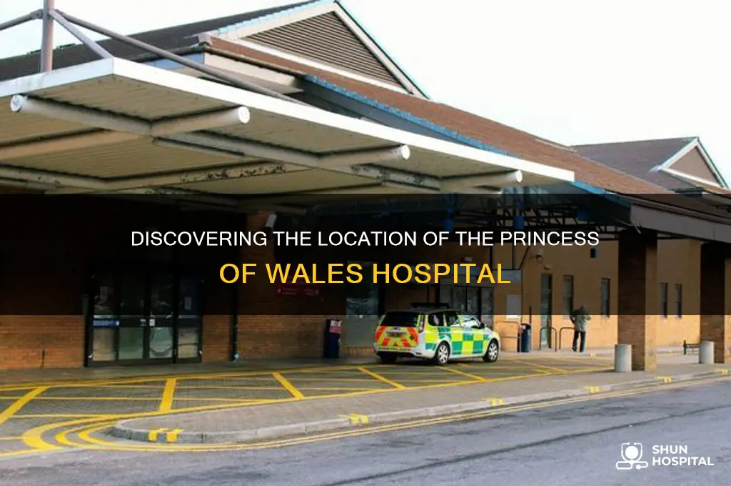 where is the princess of wales hospital