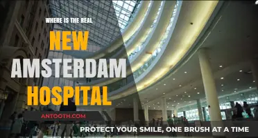 Unveiling the Mystery: Locating the Authentic New Amsterdam Hospital