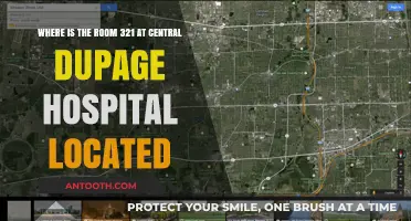 Finding Room 321: Central DuPage Hospital Location Guide