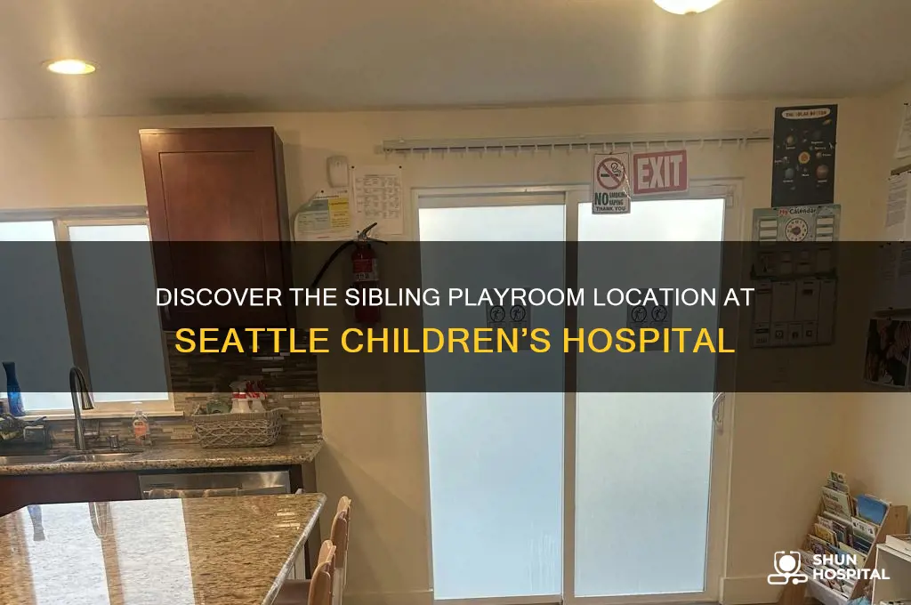 where is the sibling playroom at seattle childrens hospital