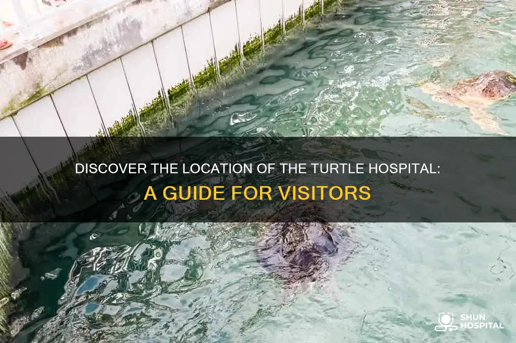 where is the turtle hospital