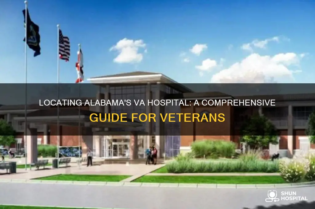 where is the va hospital in alabama