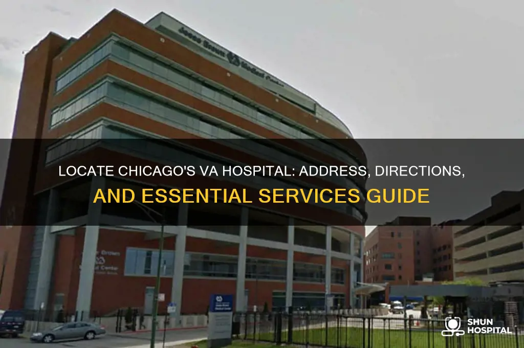 where is the va hospital in chicago