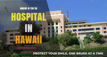 Discovering Hawaii's VA Hospital: Location and Essential Services Guide
