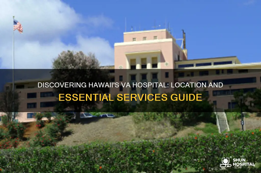 where is the va hospital in hawaii
