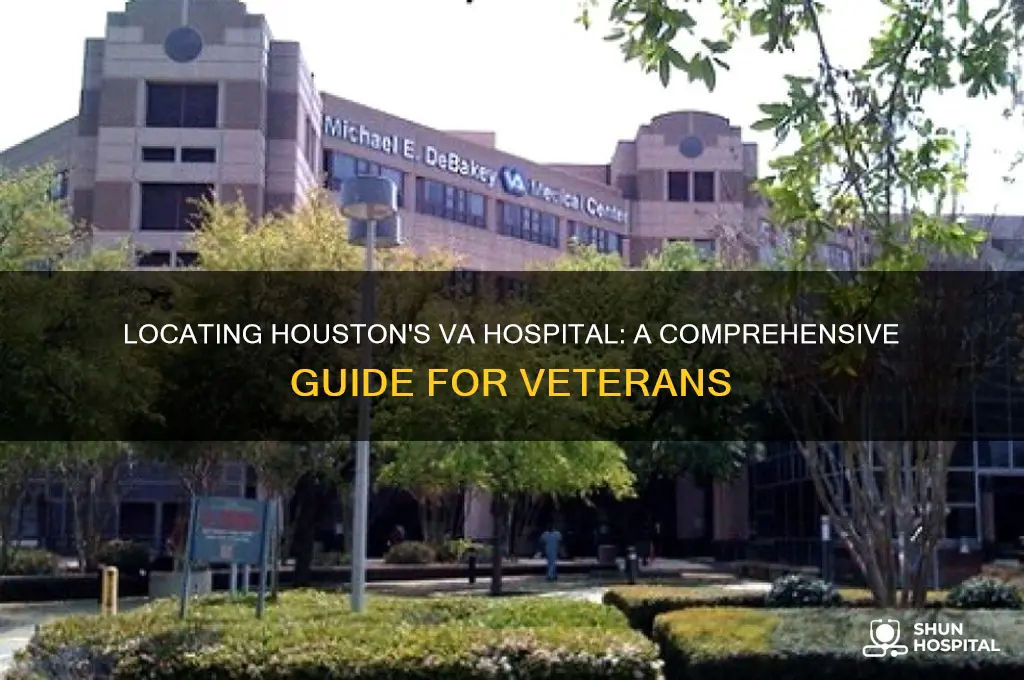 where is the va hospital in houston