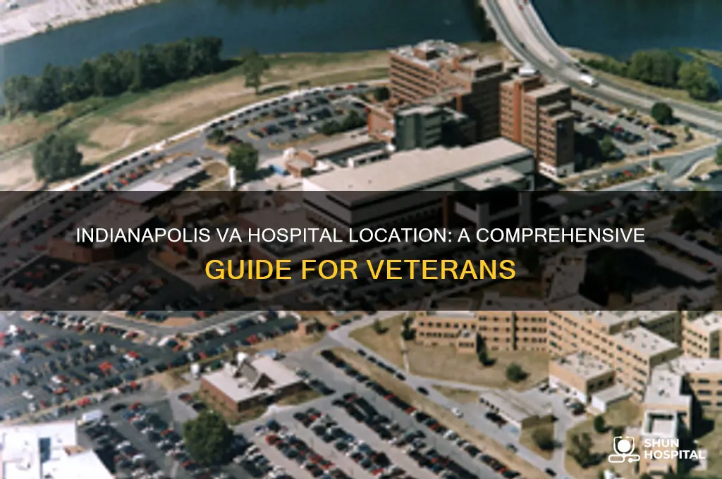 where is the va hospital in indianapolis
