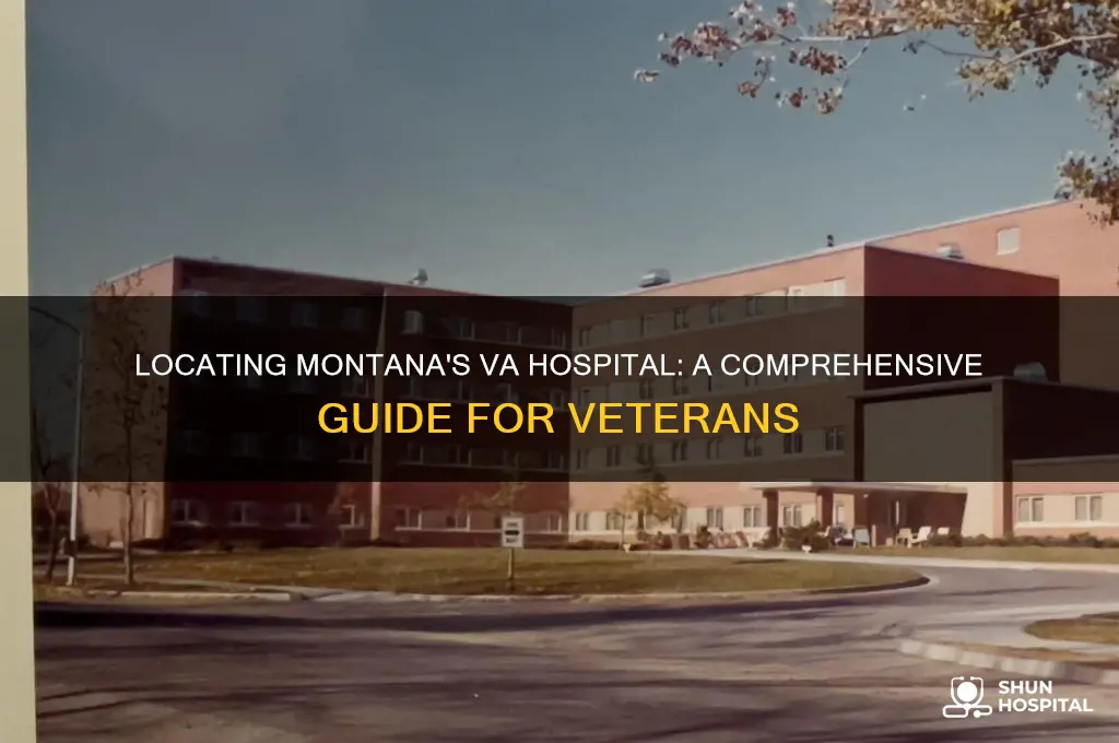 where is the va hospital in montana