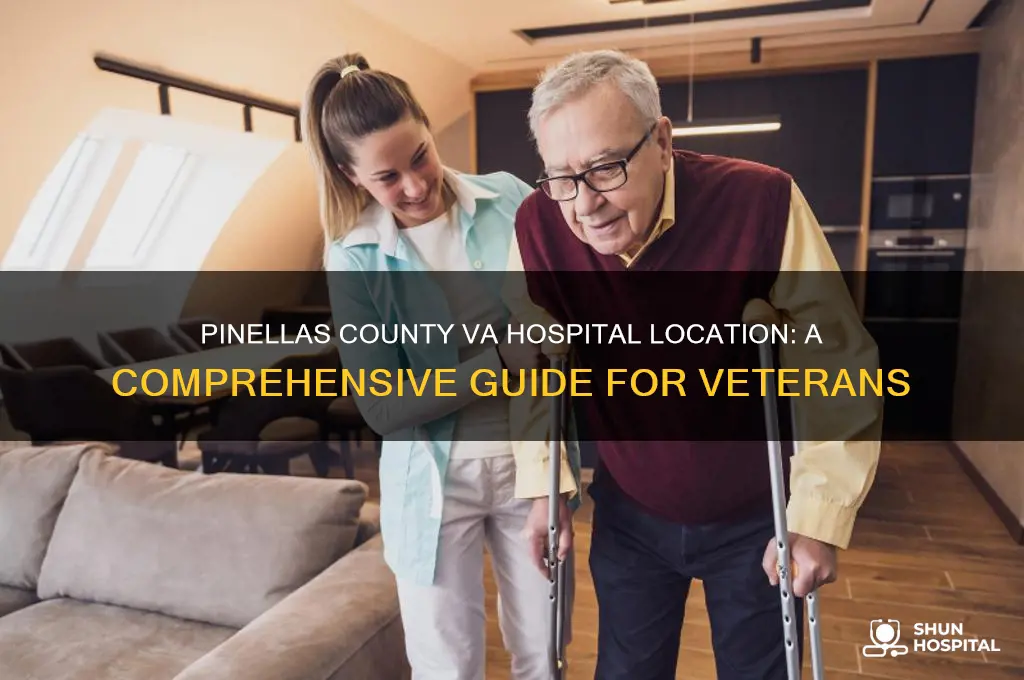 where is the va hospital in pinellas county florida