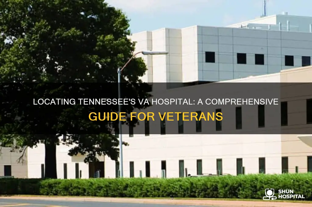 where is the va hospital in tennessee