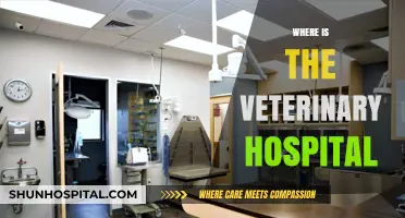 Finding the Nearest Veterinary Hospital: A Quick and Easy Guide