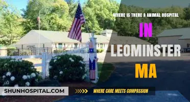 Find the Best Animal Hospital in Leominster, MA: A Guide