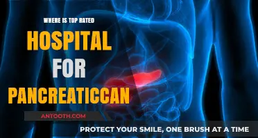 Top-Rated Hospitals for Pancreatic Cancer Treatment: Locations and Insights