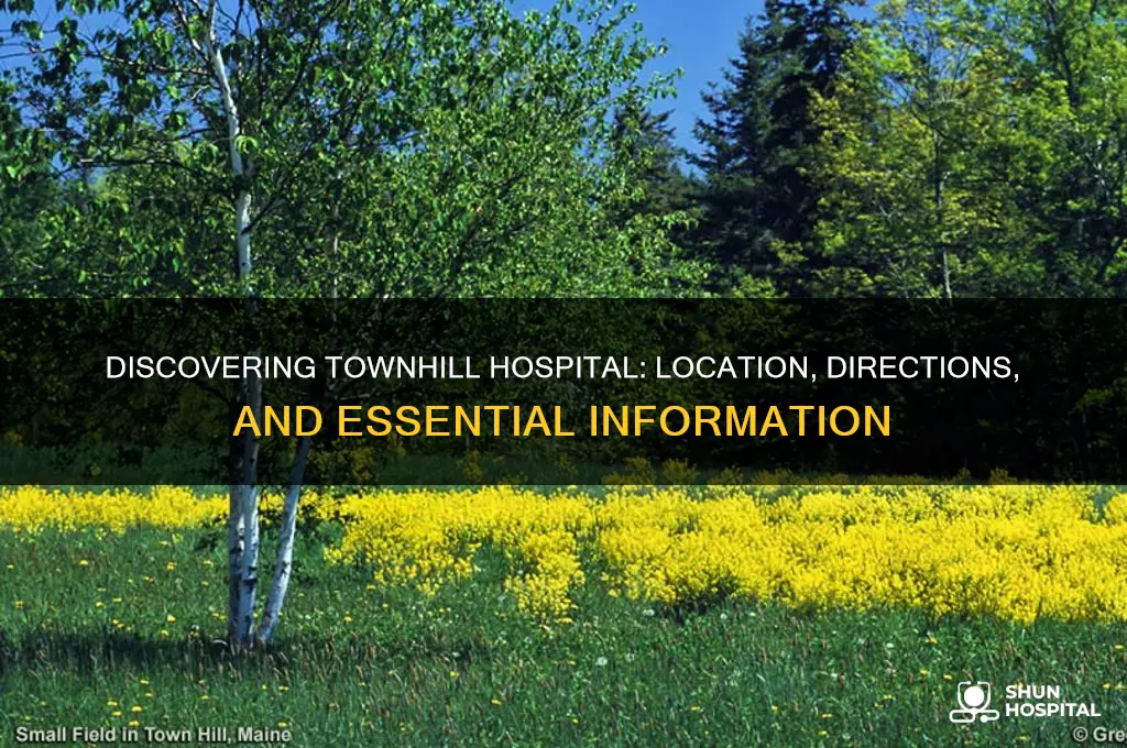 where is townhill hospital
