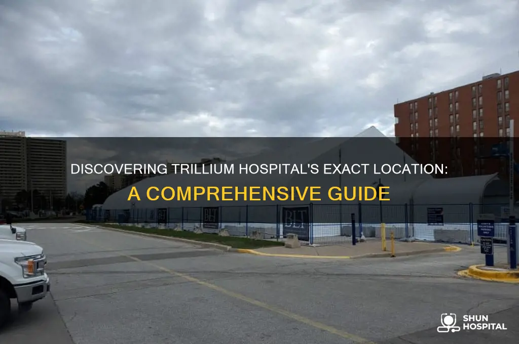 where is trillium hospital located