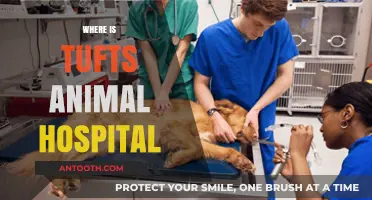 Tufts Animal Hospital Location: Finding Expert Veterinary Care Near You