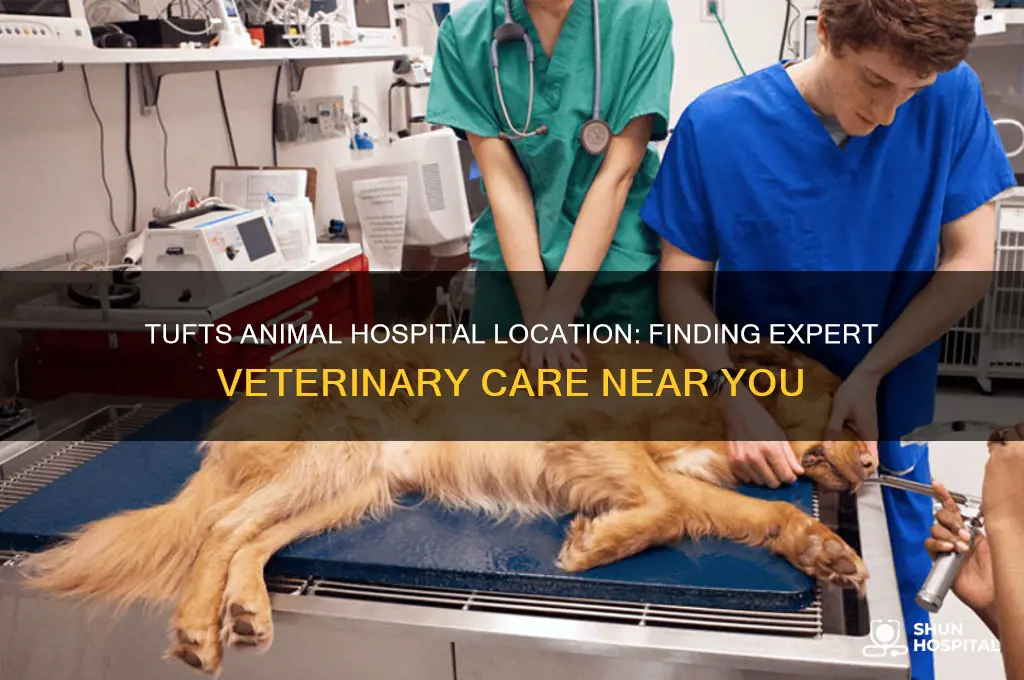 where is tufts animal hospital