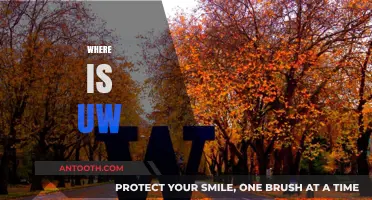 Discovering the Location of the University of Washington: A Guide