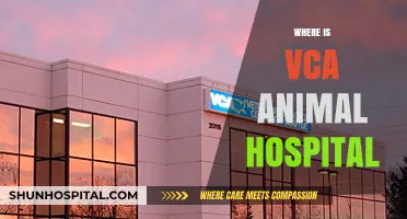 Locating VCA Animal Hospital: A Comprehensive Guide to Nearby Clinics