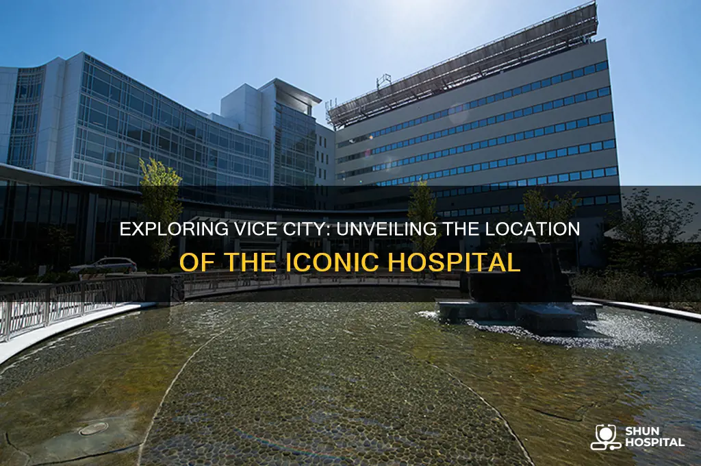 where is vice city hospital