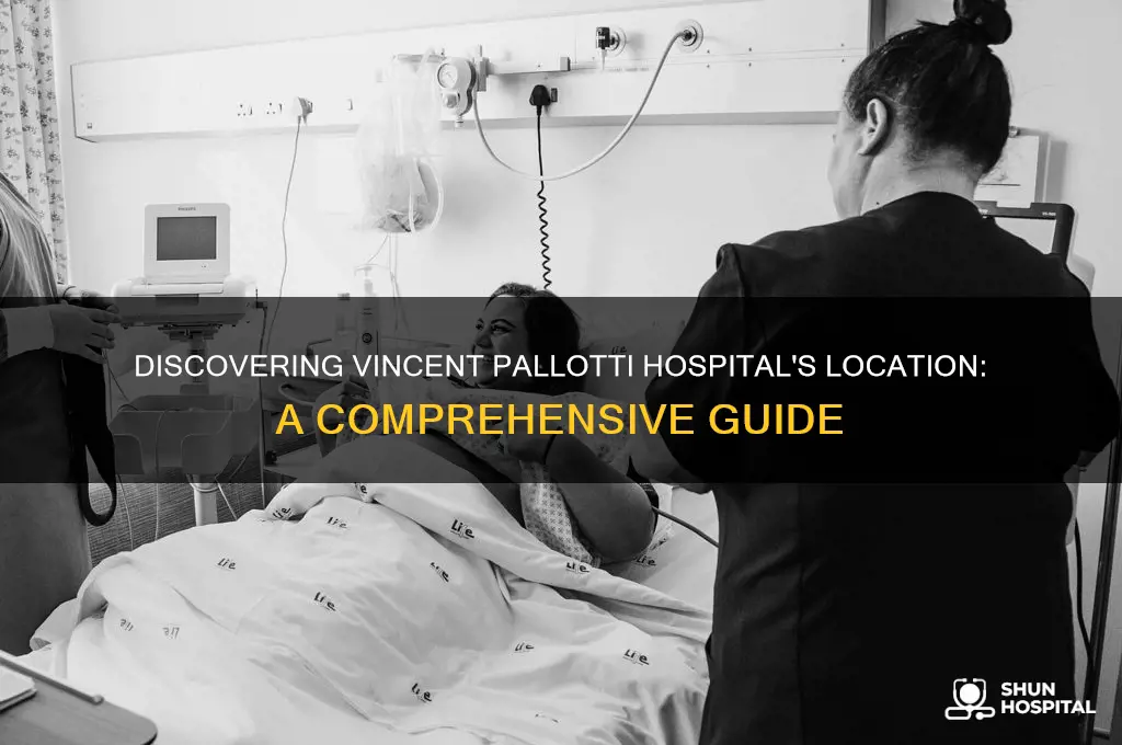 where is vincent pallotti hospital