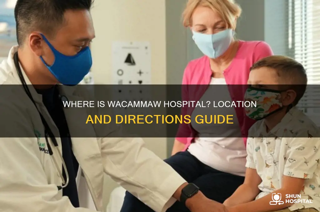 where is wacammaw hospital