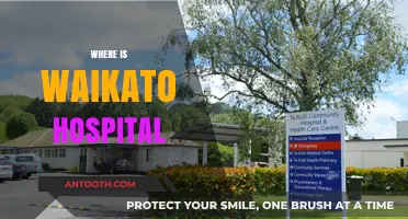 Discovering Waikato Hospital's Exact Location in Hamilton, New Zealand