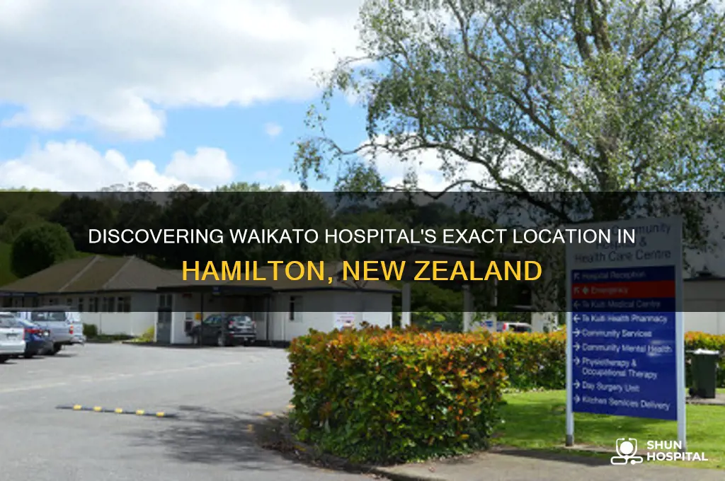 where is waikato hospital