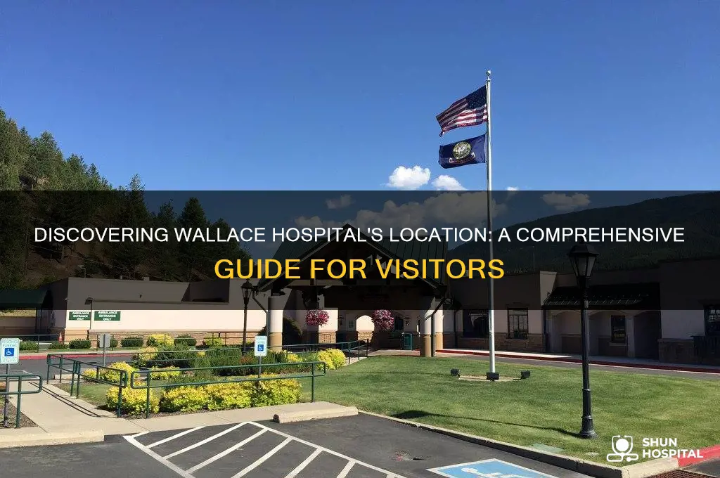 where is wallace hospital