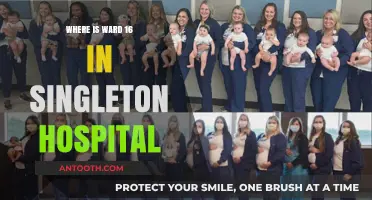 Locating Ward 16 in Singleton Hospital: A Comprehensive Guide