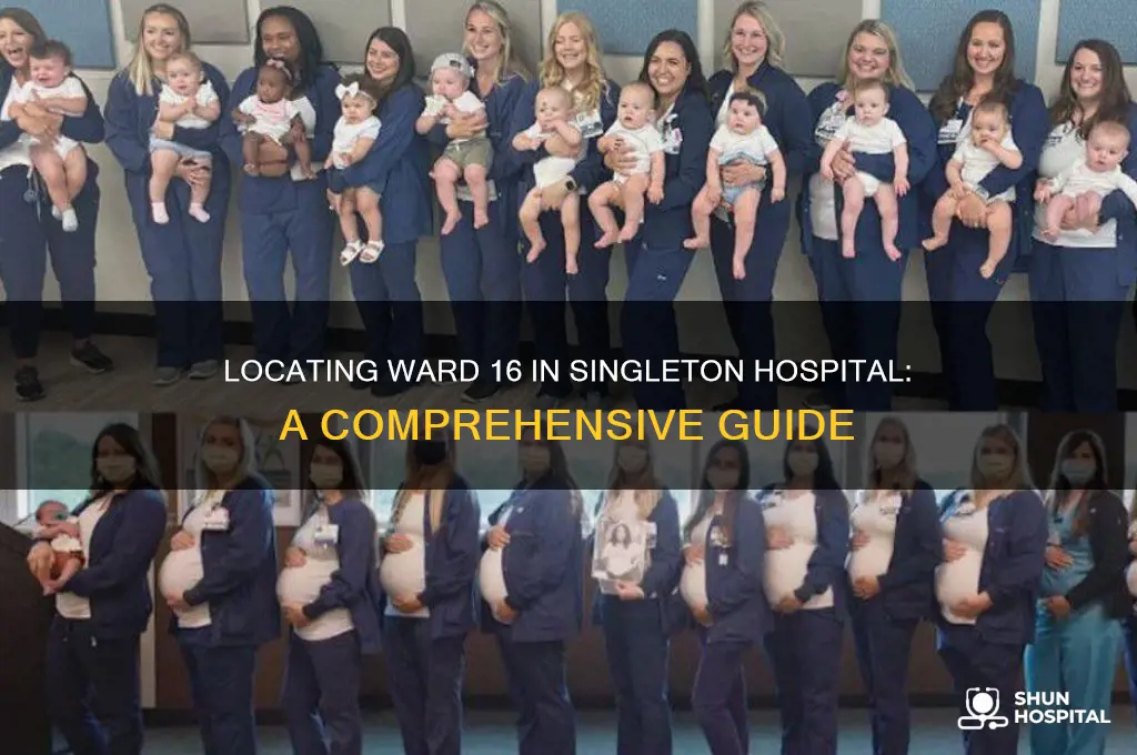 where is ward 16 in singleton hospital