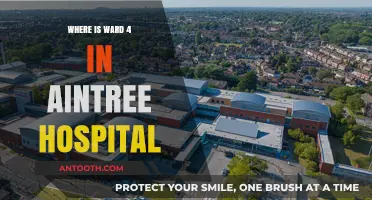 Locating Ward 4: A Guide to Aintree Hospital's Layout