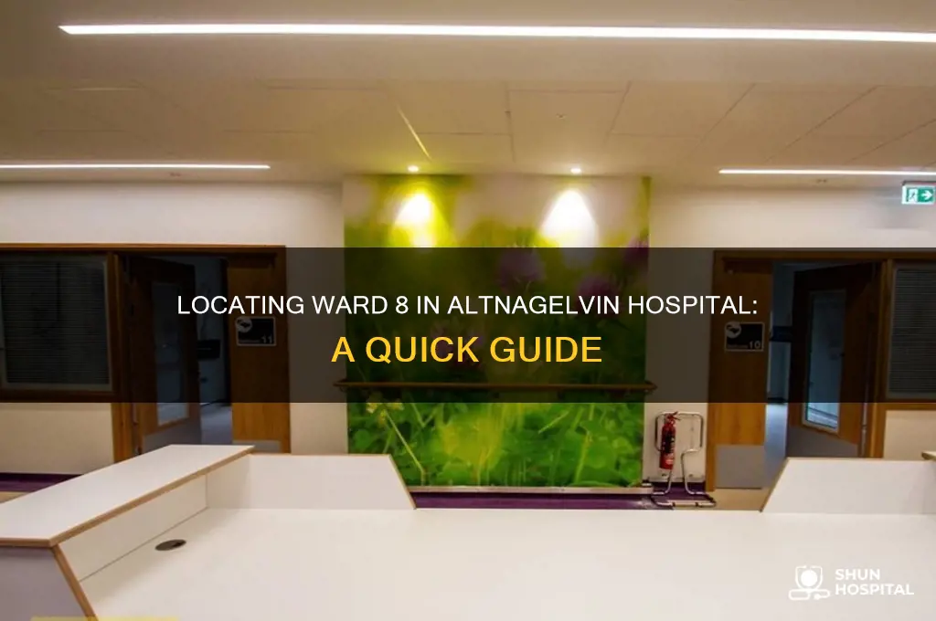 where is ward 8 in altnagelvin hospital
