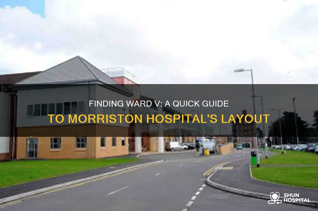 where is ward v in morriston hospital