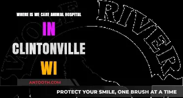 We Care Animal Hospital Location in Clintonville, WI: A Guide