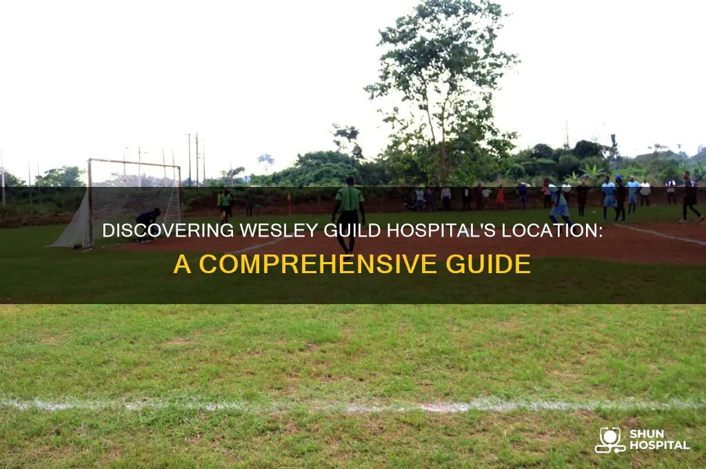 where is wesley guild hospital