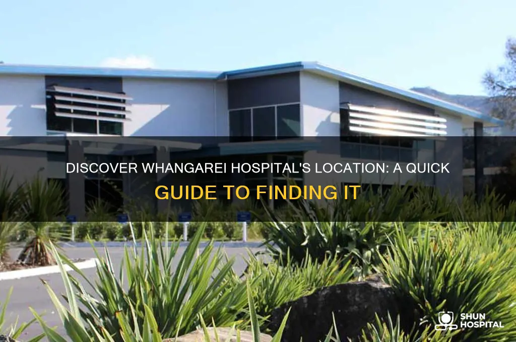 where is whangarei hospital