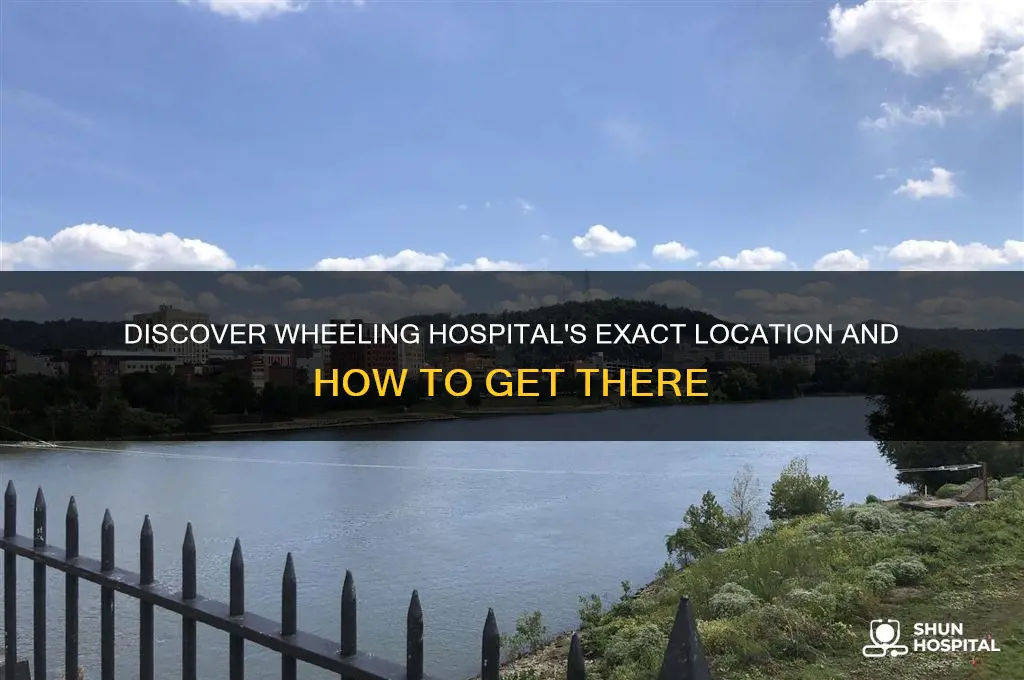 where is wheeling hospital